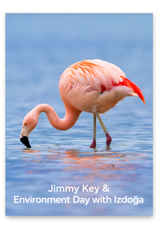 Explore Jimmy Key’s Corporate Wholesale